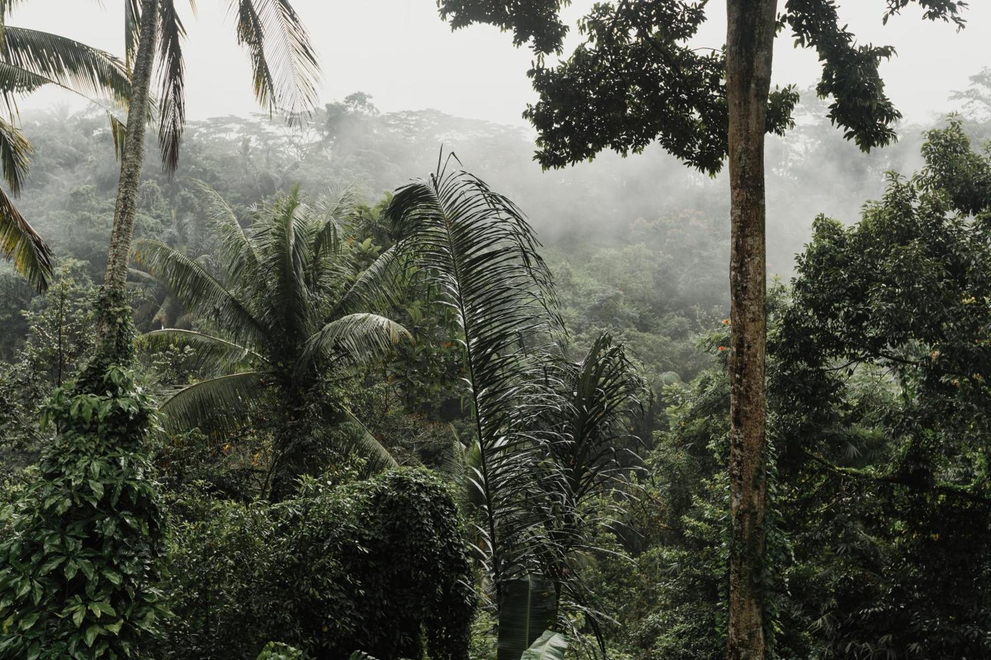 The Iyang Ubud Exterior foto